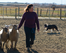 Enlarge photo 24