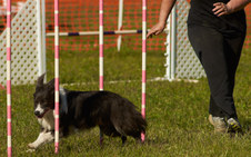 Enlarge photo 46