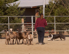 Enlarge photo 31