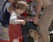 Enlarge photo 35