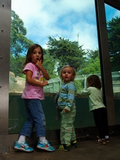 Enlarge photo 24