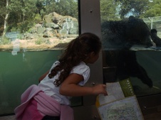 Enlarge photo 26