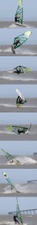 Enlarge photo 75