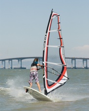 Enlarge photo 80