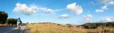 Enlarge photo 56