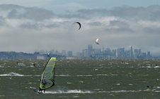 Enlarge photo 176