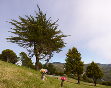 Enlarge photo 91