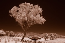 Enlarge photo 29