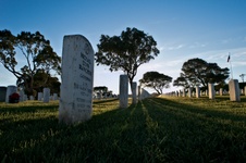Enlarge photo 42