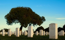 Enlarge photo 36