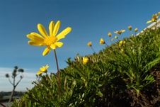 Enlarge photo 39