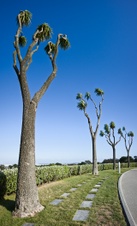 Enlarge photo 72