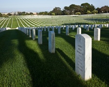Enlarge photo 73