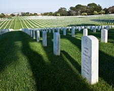 Enlarge photo 74