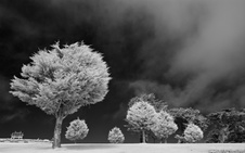 Enlarge photo 23