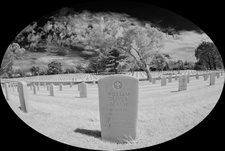 Enlarge photo 68