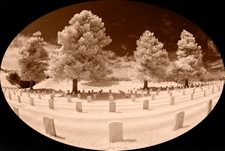 Enlarge photo 66