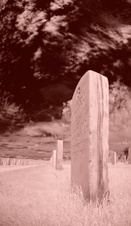 Enlarge photo 69