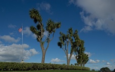 Enlarge photo 61