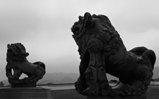 Enlarge photo 64