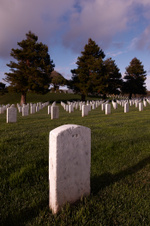 Enlarge photo 84