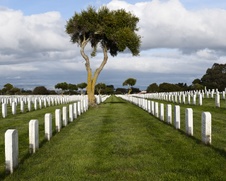 Enlarge photo 58
