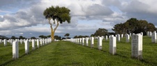 Enlarge photo 59