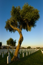 Enlarge photo 83