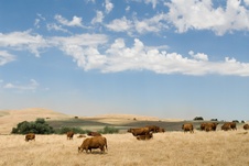 Enlarge photo 23