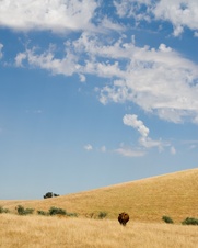 Enlarge photo 20