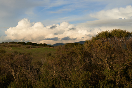 Enlarge photo 10