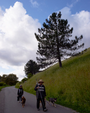 Enlarge photo 25