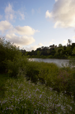 Enlarge photo 26