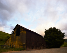 Enlarge photo 32
