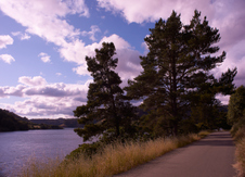 Enlarge photo 28