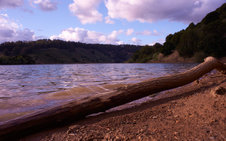 Enlarge photo 29