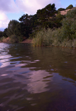 Enlarge photo 30