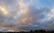 Enlarge photo 36
