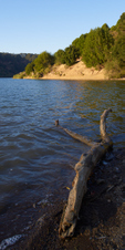 Enlarge photo 35