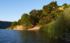 Enlarge photo 33