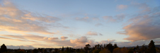Enlarge photo 37