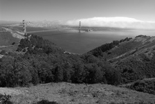 Enlarge photo 227
