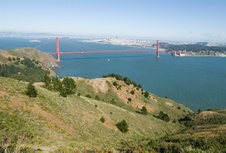 Enlarge photo 343