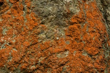 Enlarge photo 338