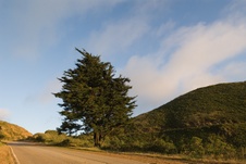 Enlarge photo 337