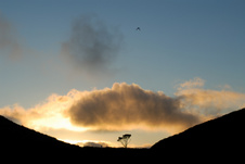 Enlarge photo 336