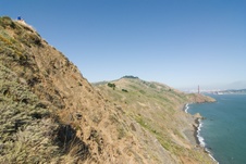 Enlarge photo 334