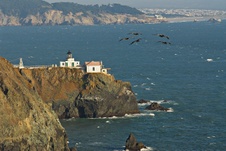 Enlarge photo 333