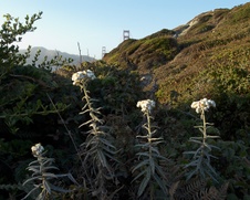 Enlarge photo 288