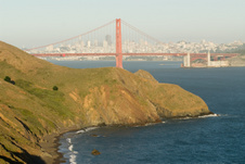 Enlarge photo 330